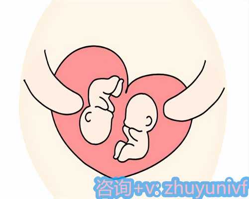 2024广东医学院附属第一医院三代试管婴儿包生男孩价格多少？
