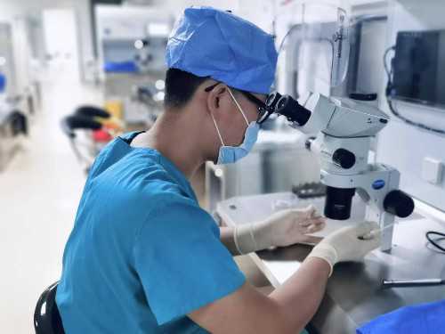 长沙试管助孕：辅食添加时机与辅食机选购指南