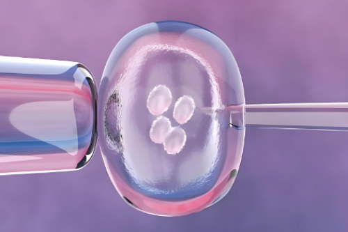 代生产子:试管婴儿移植后洋茄能不能吃（做试管移植后可以吃洋葱吗）